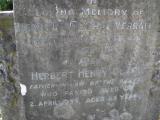 image of grave number 172479
